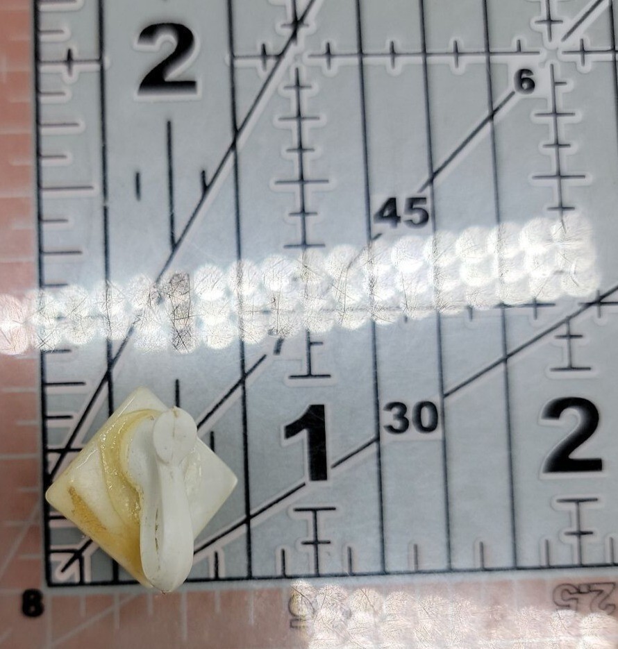 MOP Lucite Cameo Tension Paddle Clip On Earrings Mother Of Pearl Vtg Black White