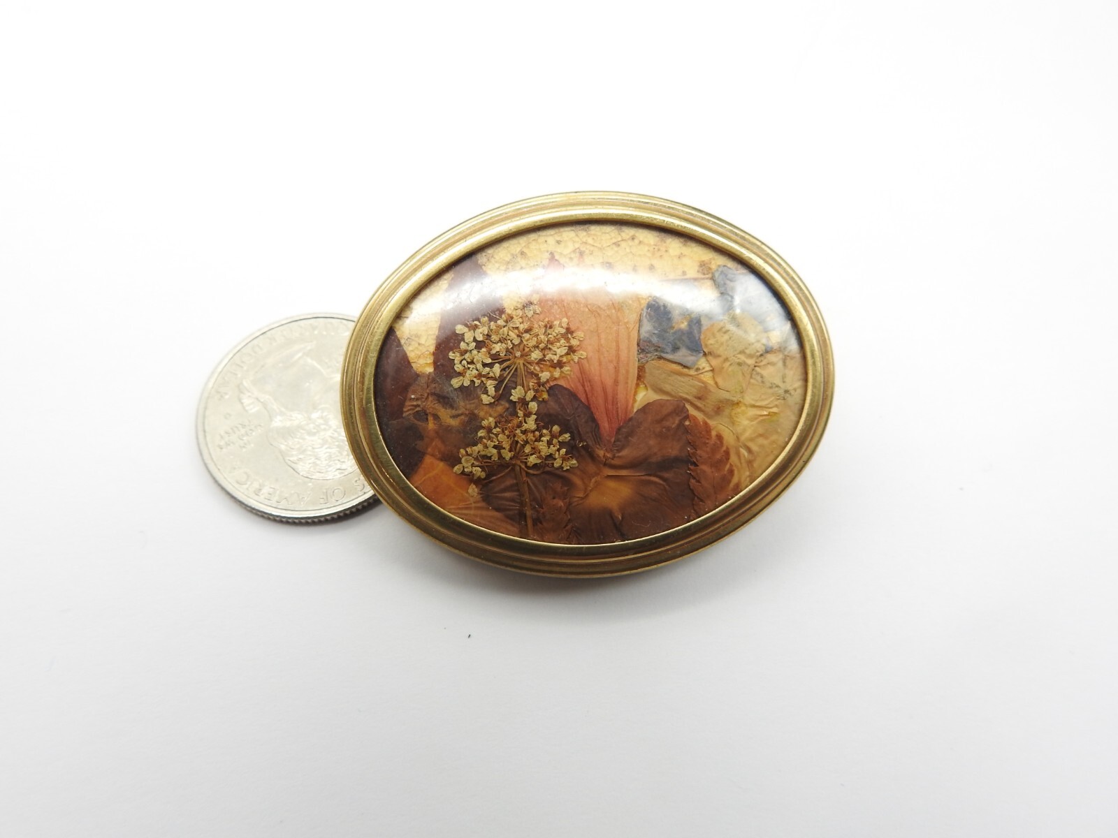 Oval Blue Peach Brown Pressed Dried Flower Gold Tone Metal Brooch Vintage