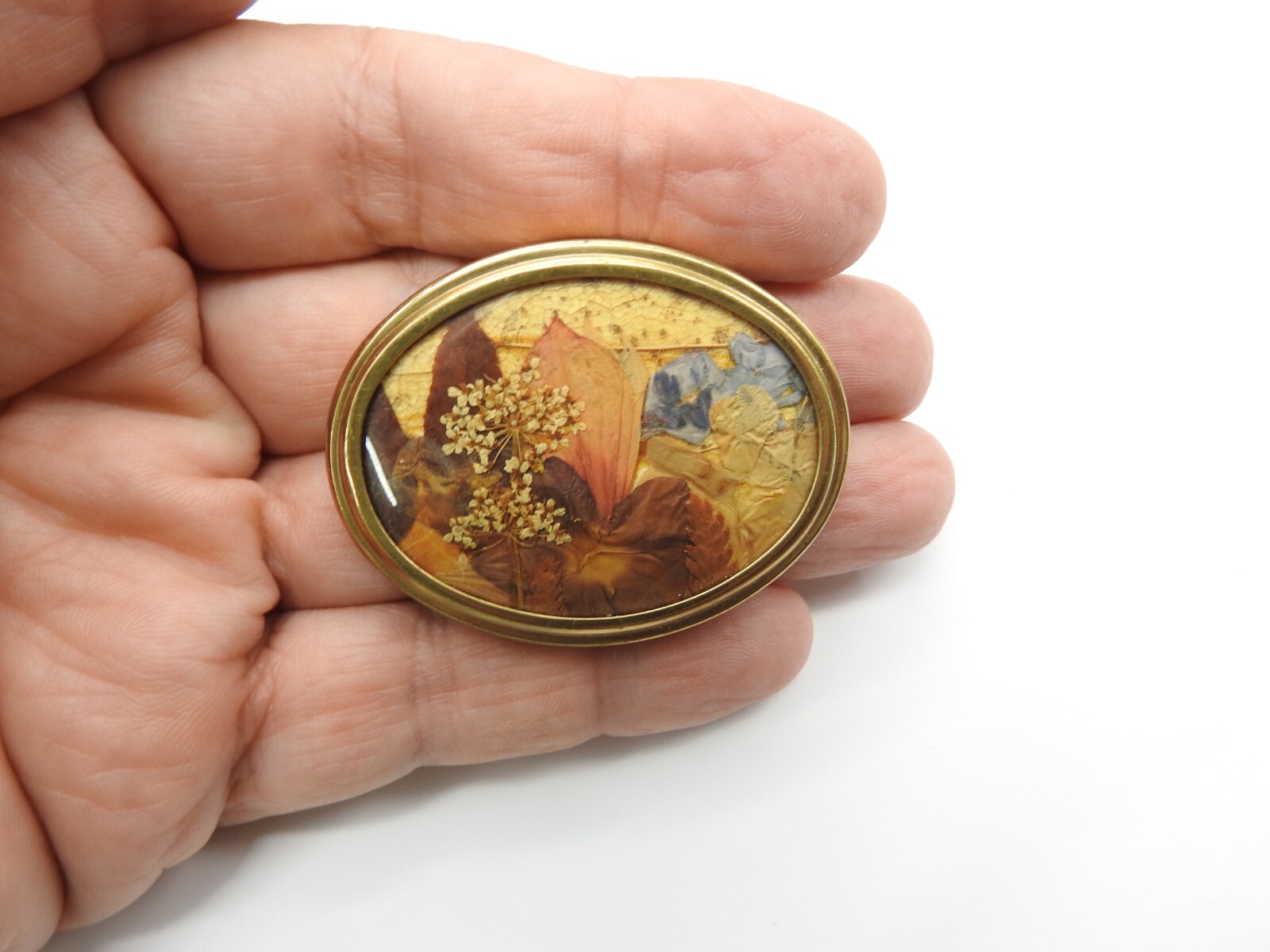 Oval Blue Peach Brown Pressed Dried Flower Gold Tone Metal Brooch Vintage