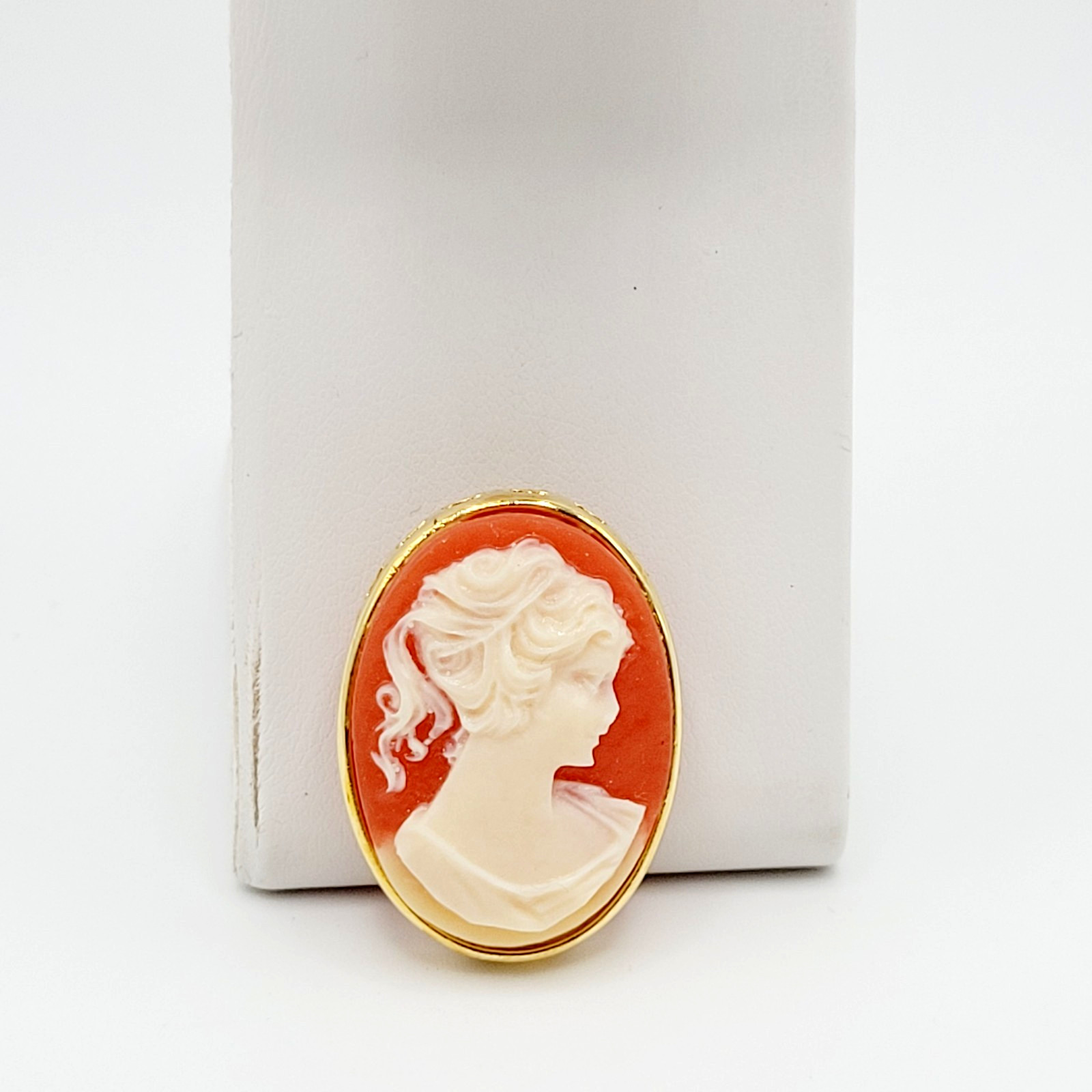 Cameo Set Resin Backed Gold Tone Open Works Frame Salmon Coral Color Revival