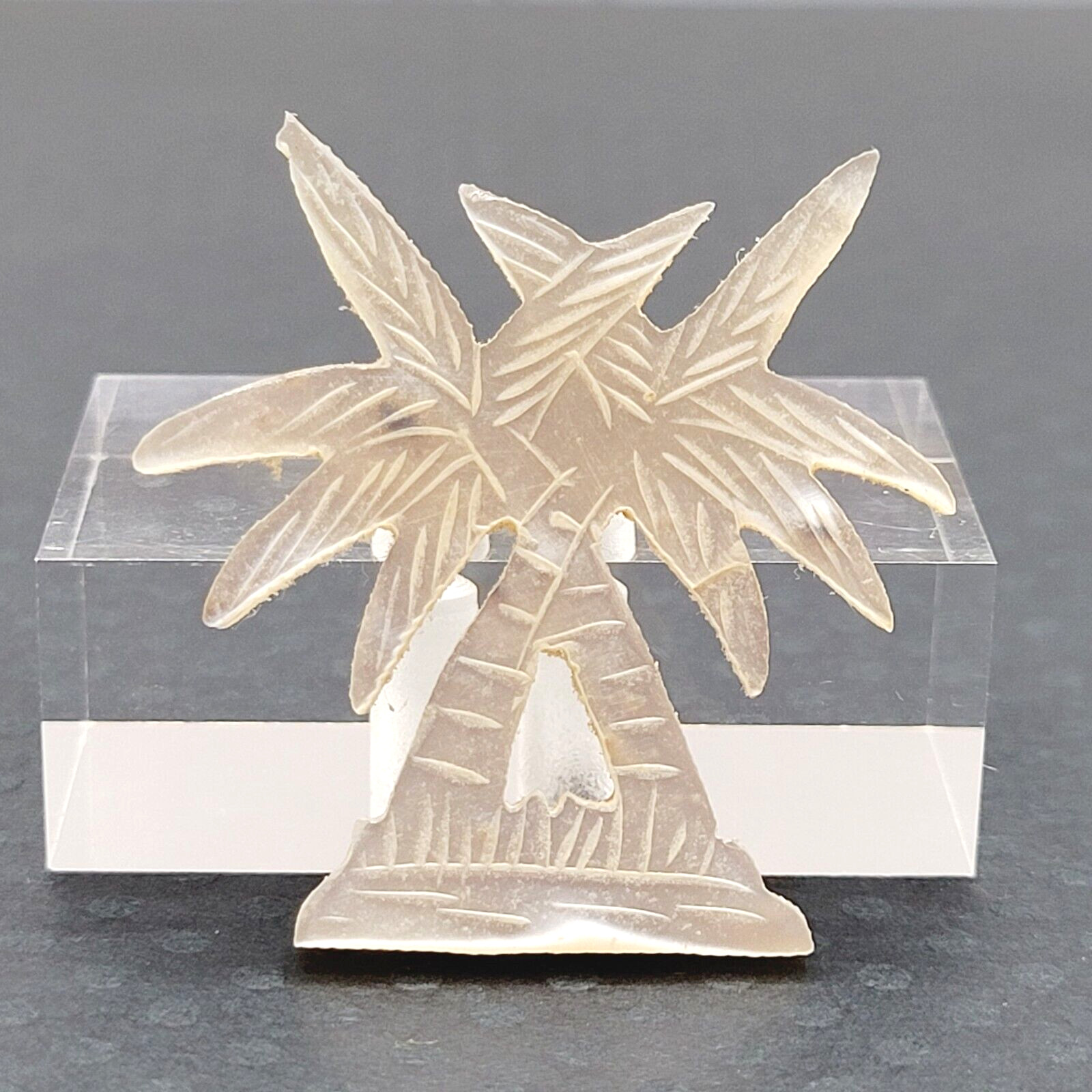 Palm Trees Carved MOP Mother of Pearl Shell Small Vintage Brooch Pin C Clasp
