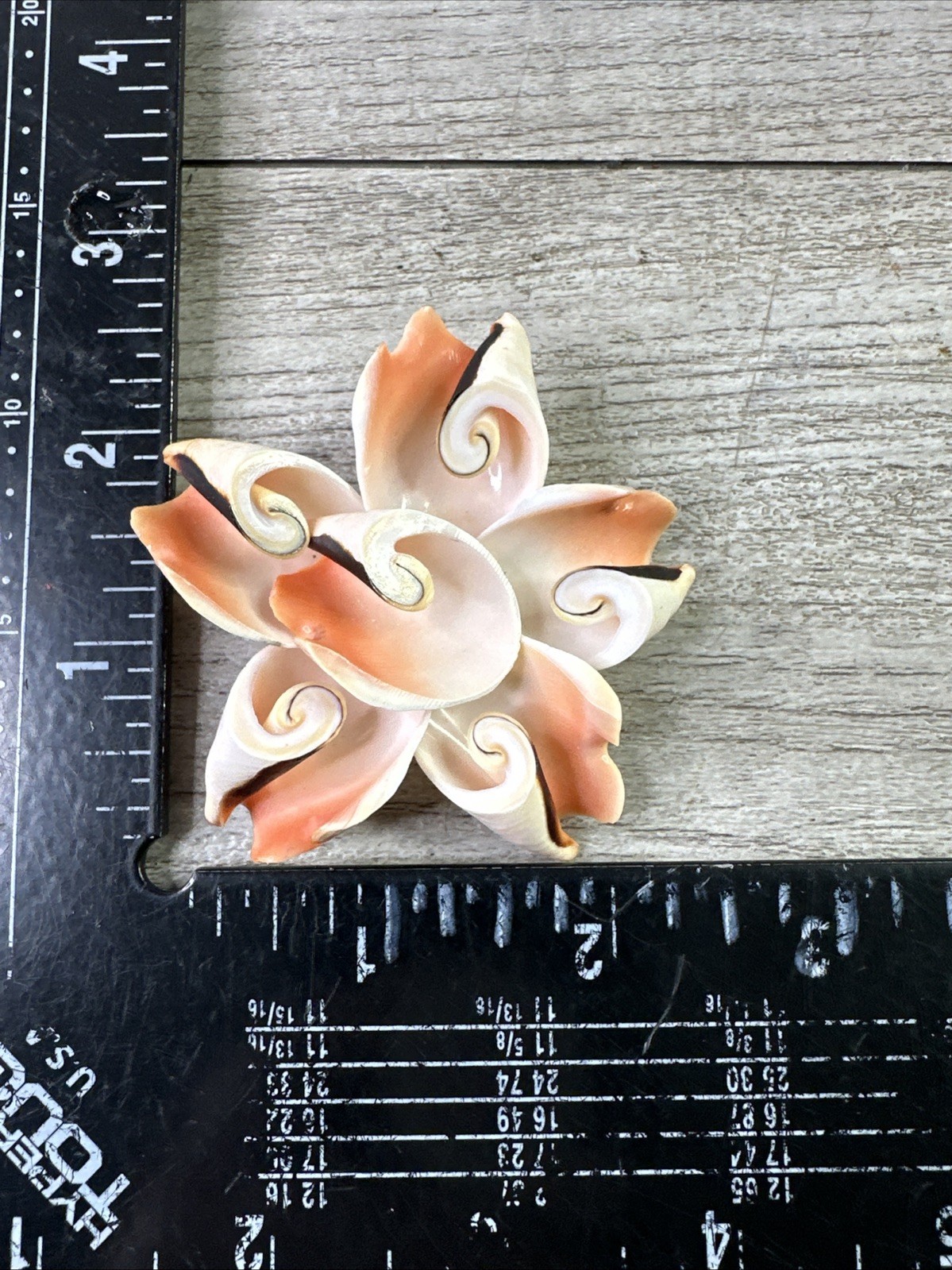 Vintage Genuine Conch Shell Pin Brooch & Stud Earrings Set Pinks Brown White