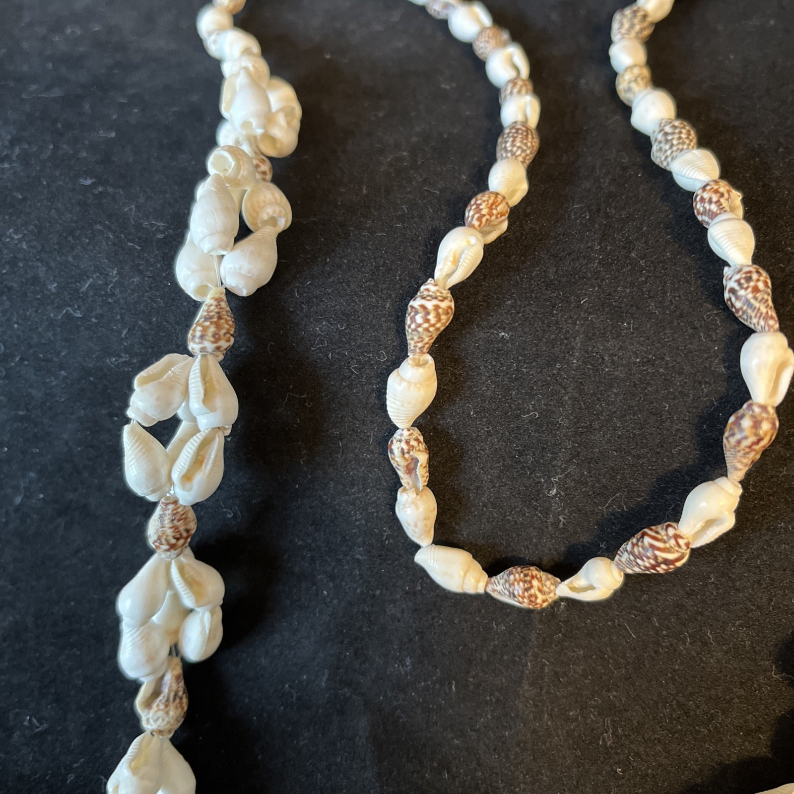 Long Sea Shell Necklace Tiny Whelks 35in Natural Real Seashells Handmade