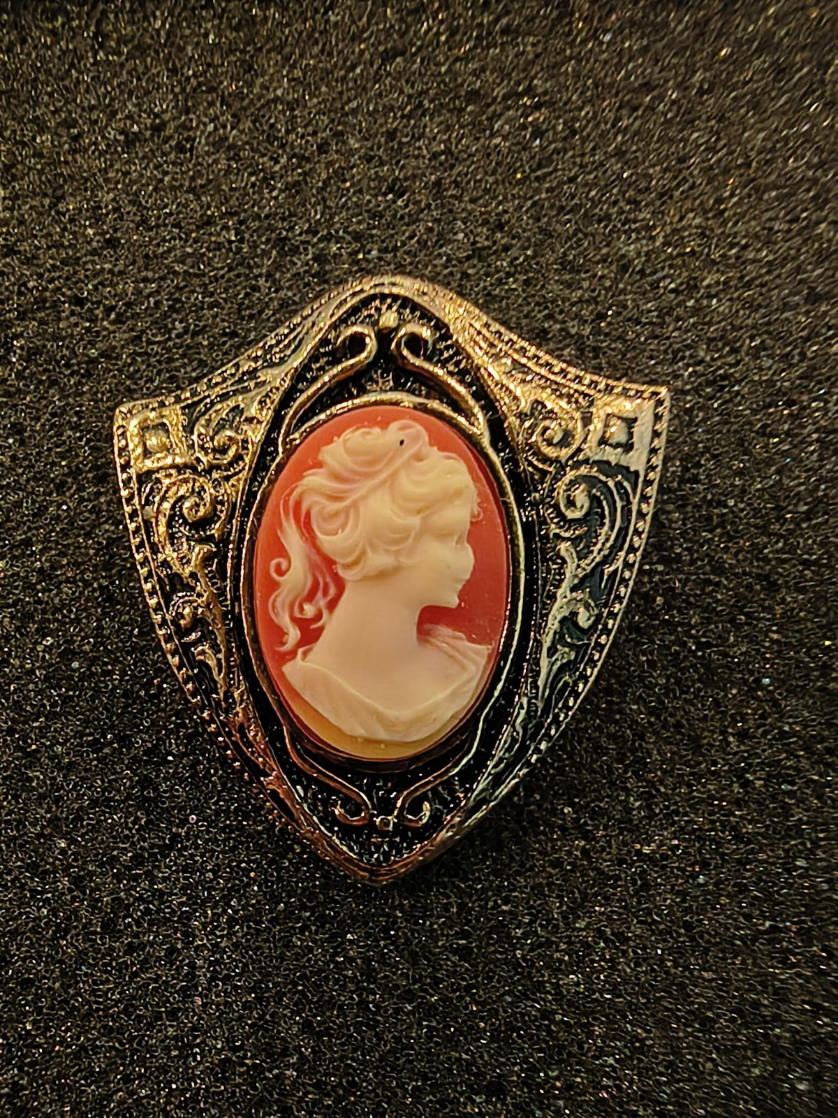 Gold Tone Shield Frame Oval Cameo Portrait Brooch Pin Orange Cream