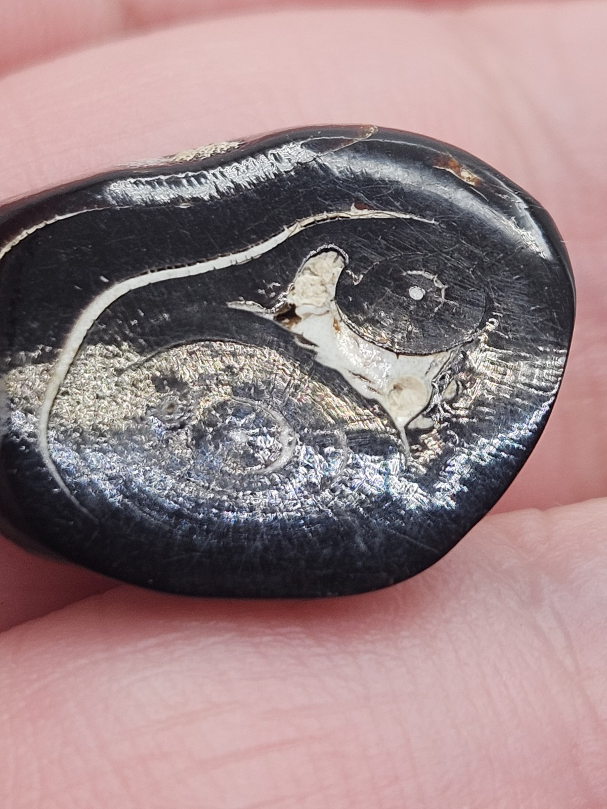 Vintage Black Coral Pendant