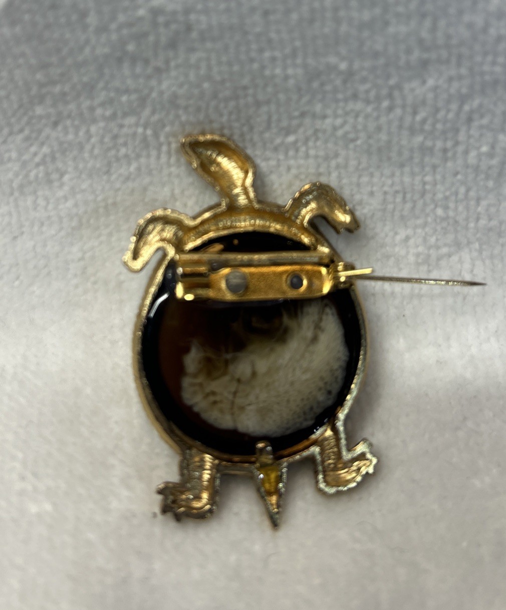 Vintage Gold Tone TURTLE Brooch w Tortoise Shell Glass Body