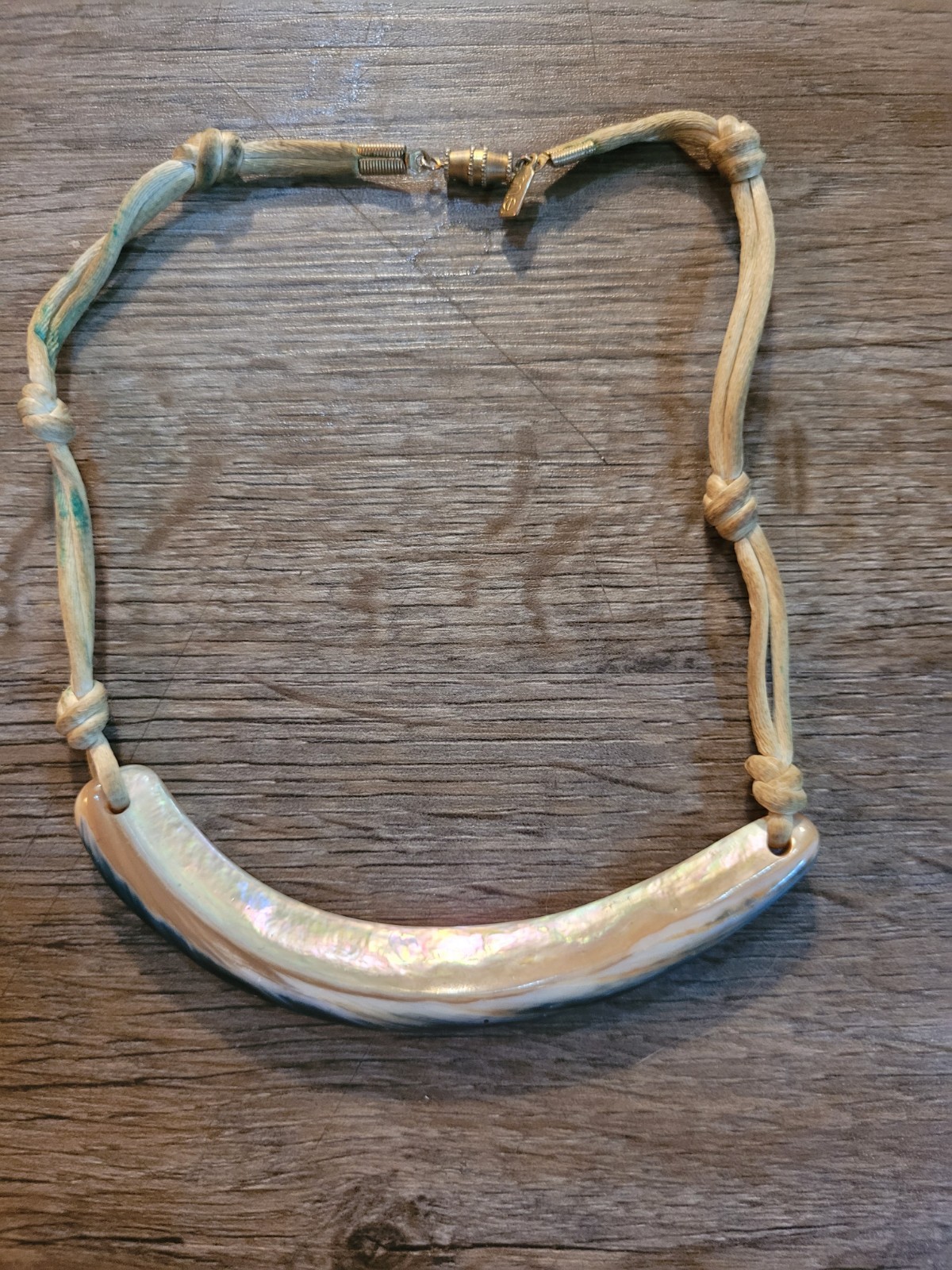 vintage boho choker necklace curved abalone shell pendant on a leather cord