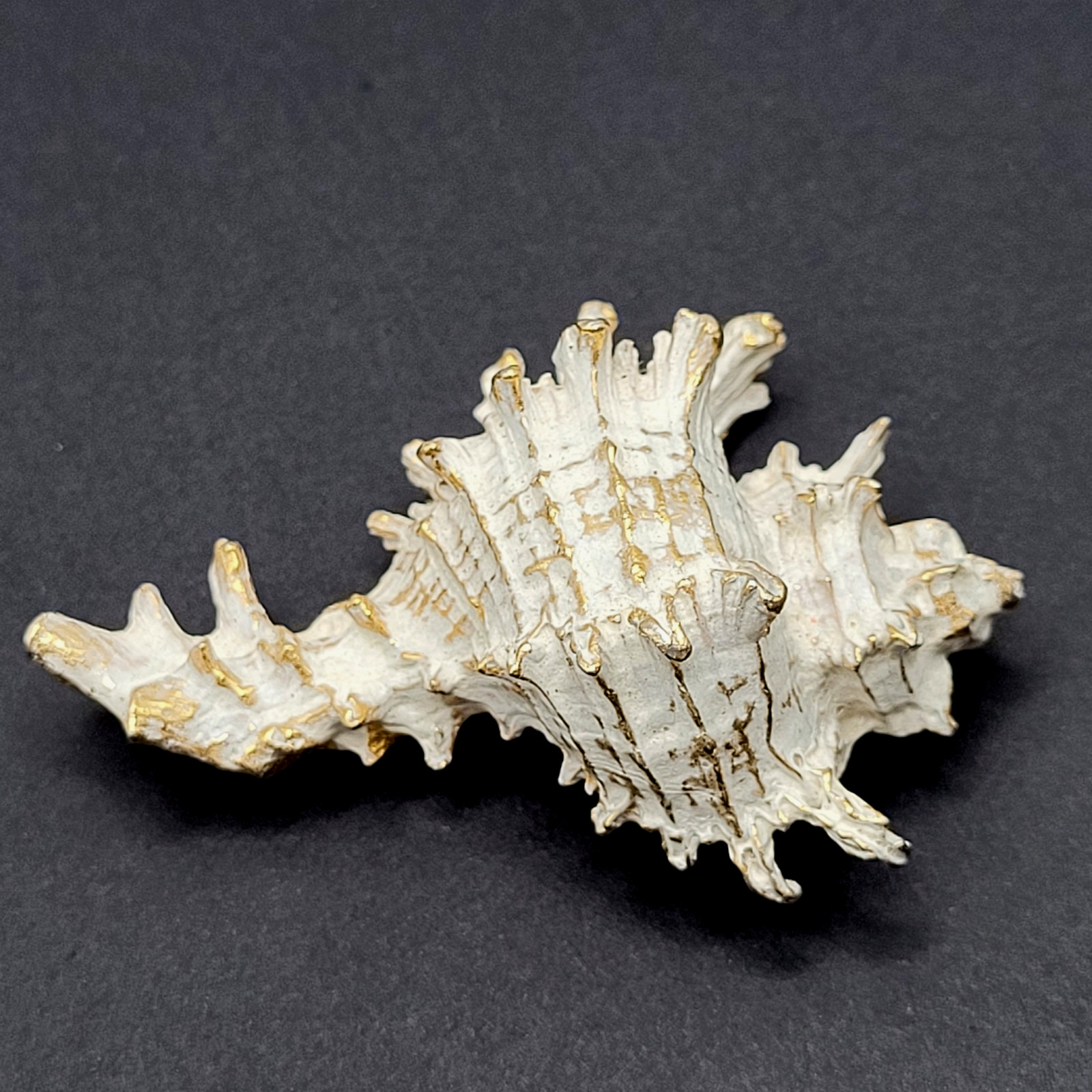 Zentall Gilded Branched Ramose Murex Spiked Conch Vintage Brooch Pin Rare