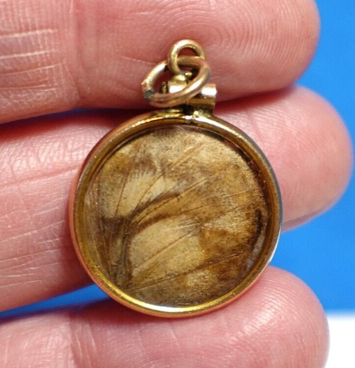 GOLD FILLED MOTH WINGS UNDER CONVEX GLASS ANTIQUE CHARM PENDANT 2.1 GMS J-623