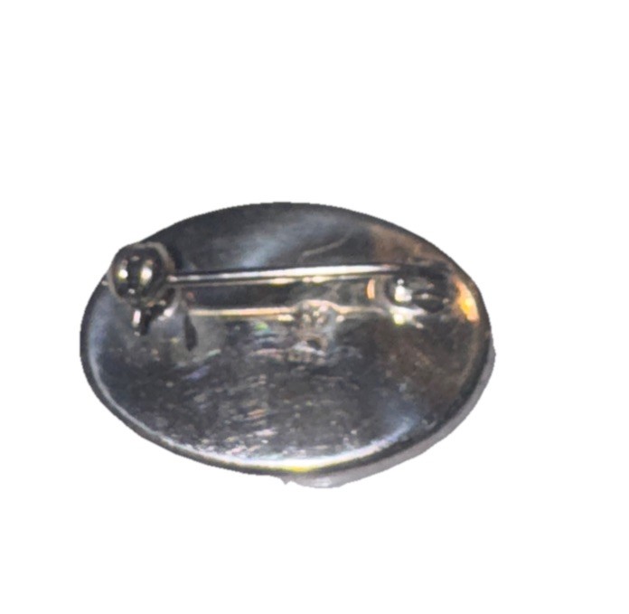 Vintage / Antique Sterling Silver and Natural Abalone Shell Pin Oval, Small
