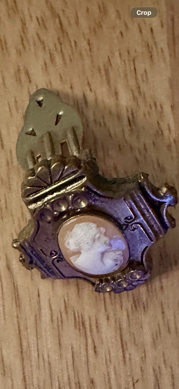 Vintage Small Cameo Dress Clip