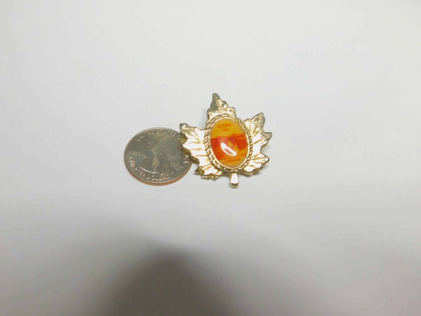 Collectable Nipawin Sask. Canada Maple Leaf Souvenir Brooch Vintage
