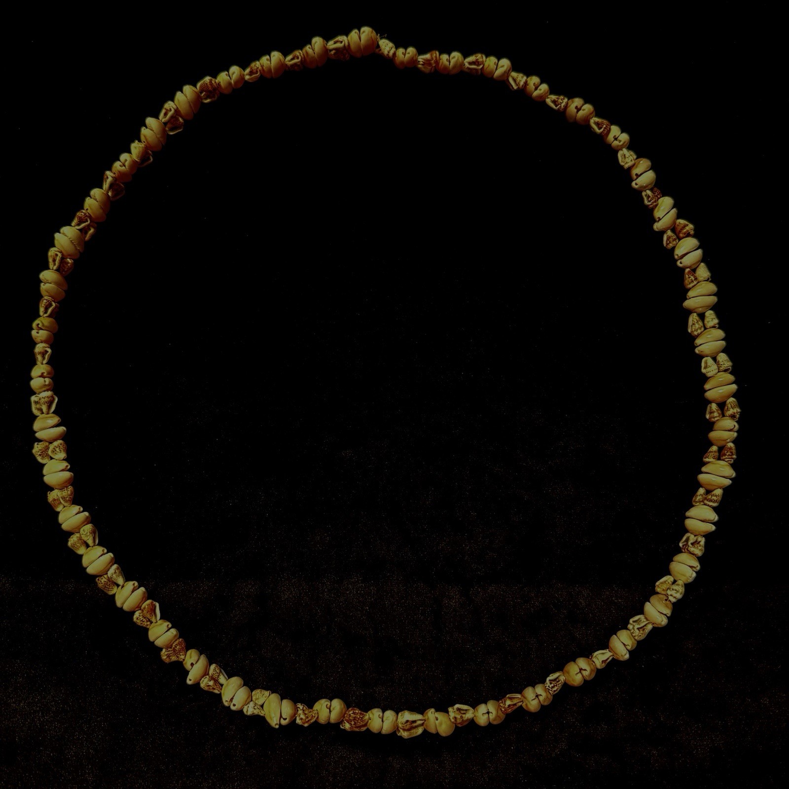 Vtg Seashell Necklaces & Leis Collection Lot Of 6 Hawaii Style Garlands N
