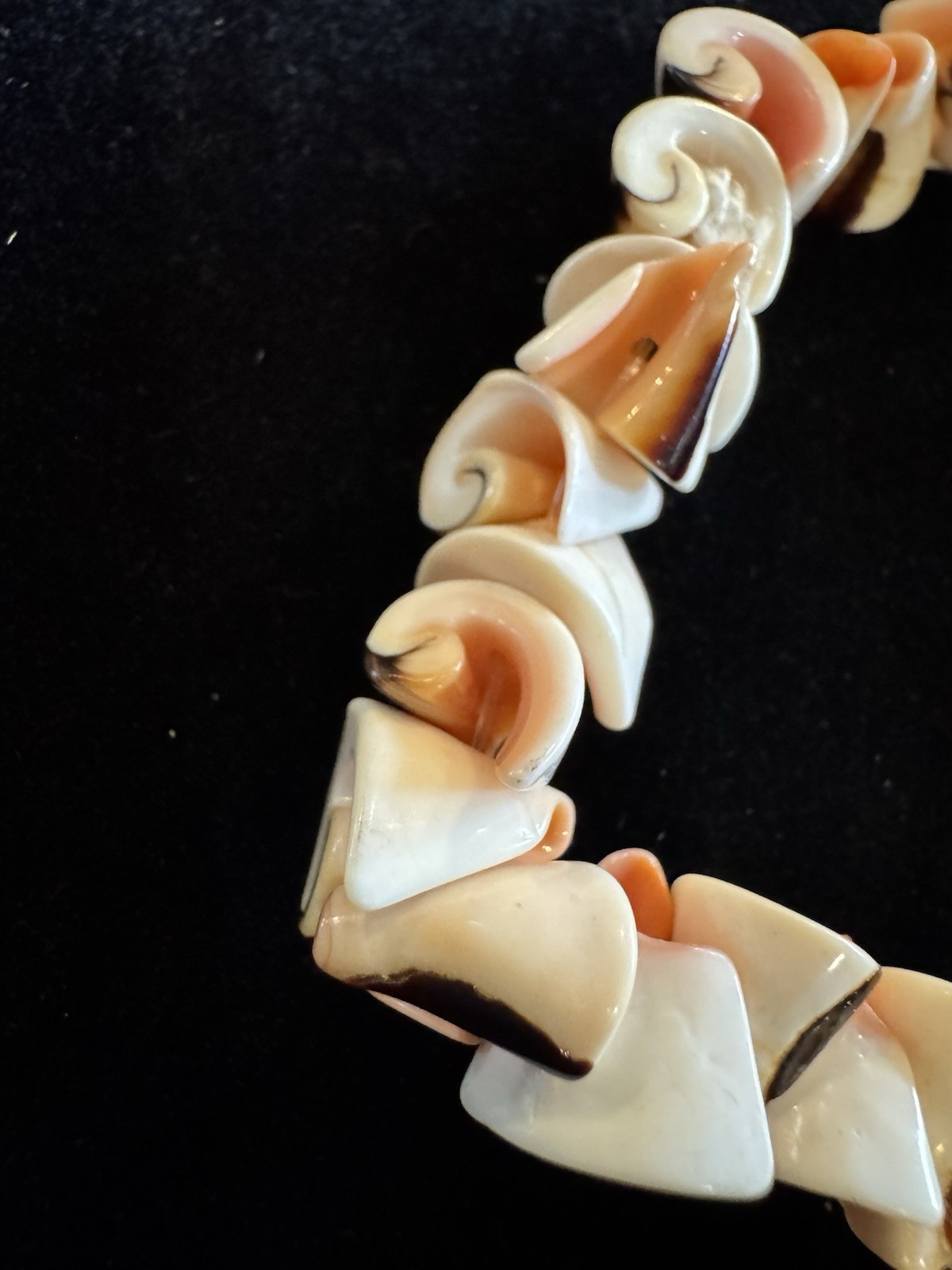 Vintage Shell Bracelet And Pierced Drop Earrings Set Tropical Jewelry