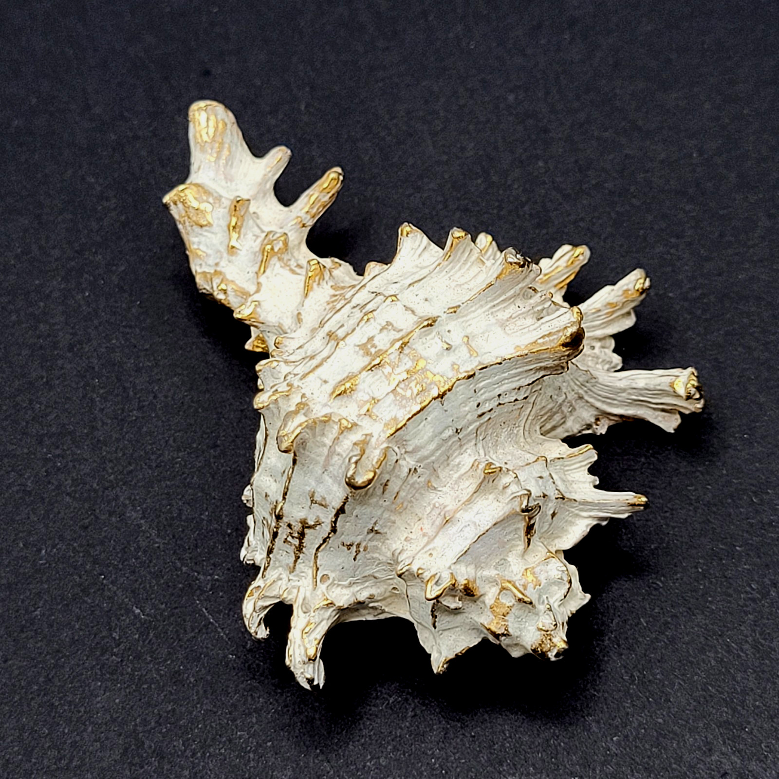 Zentall Gilded Branched Ramose Murex Spiked Conch Vintage Brooch Pin Rare