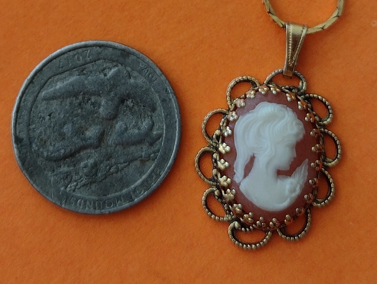 Vintage Cameo Pendant and 18″ Gold Tone Chain Burnt Orange and Cream~Beautiful!