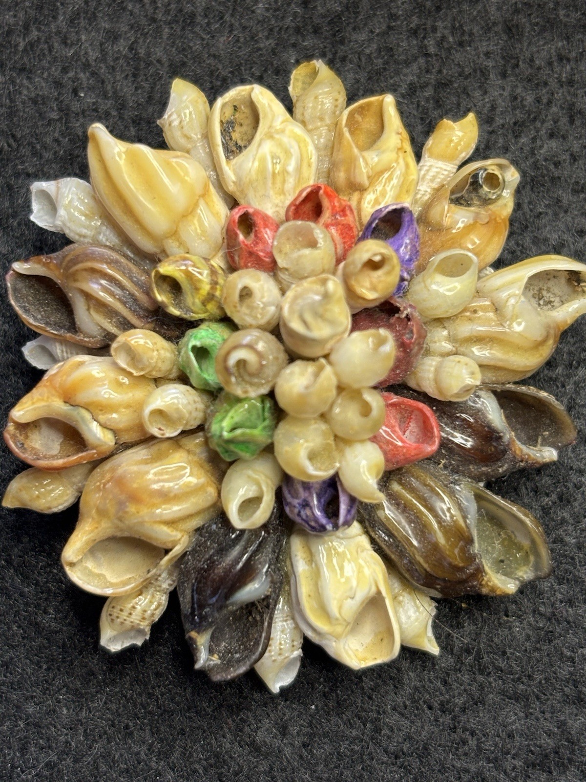 Vtg Artisan Made Natural Seashell Brooch Floral Design Multicolor 2” W/ Box