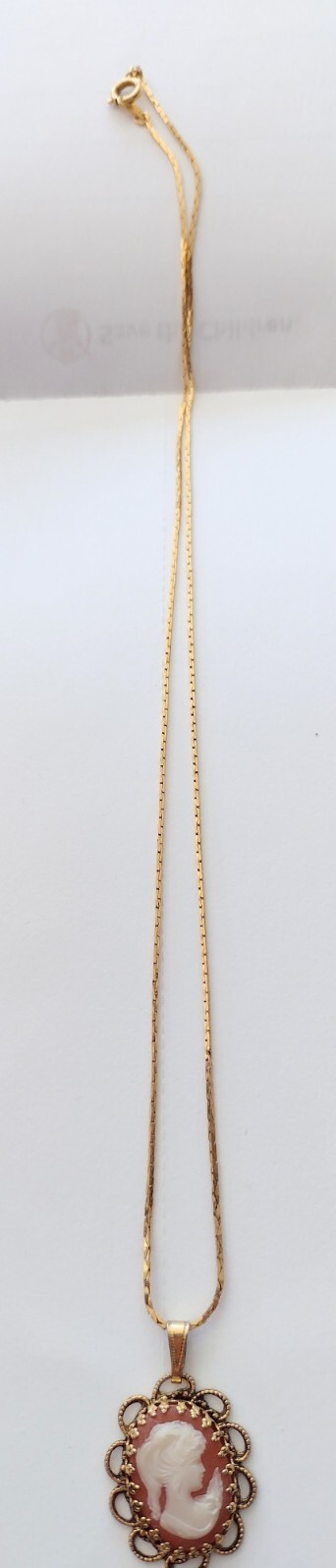 Vintage Cameo Pendant and 18″ Gold Tone Chain Burnt Orange and Cream~Beautiful!