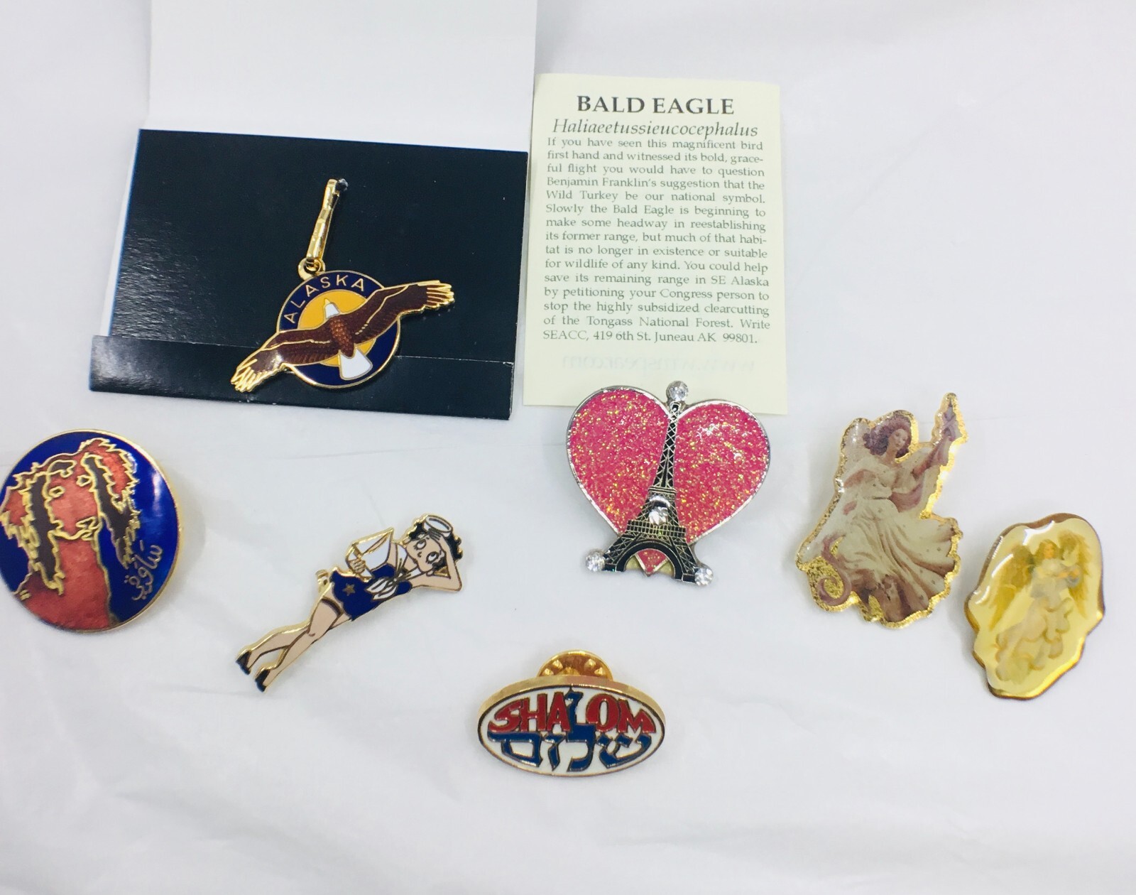 Vintage Lot of 6 Collectibles Souvenir Lapel Pins & Alaska Bald Eagle Charm/Pend
