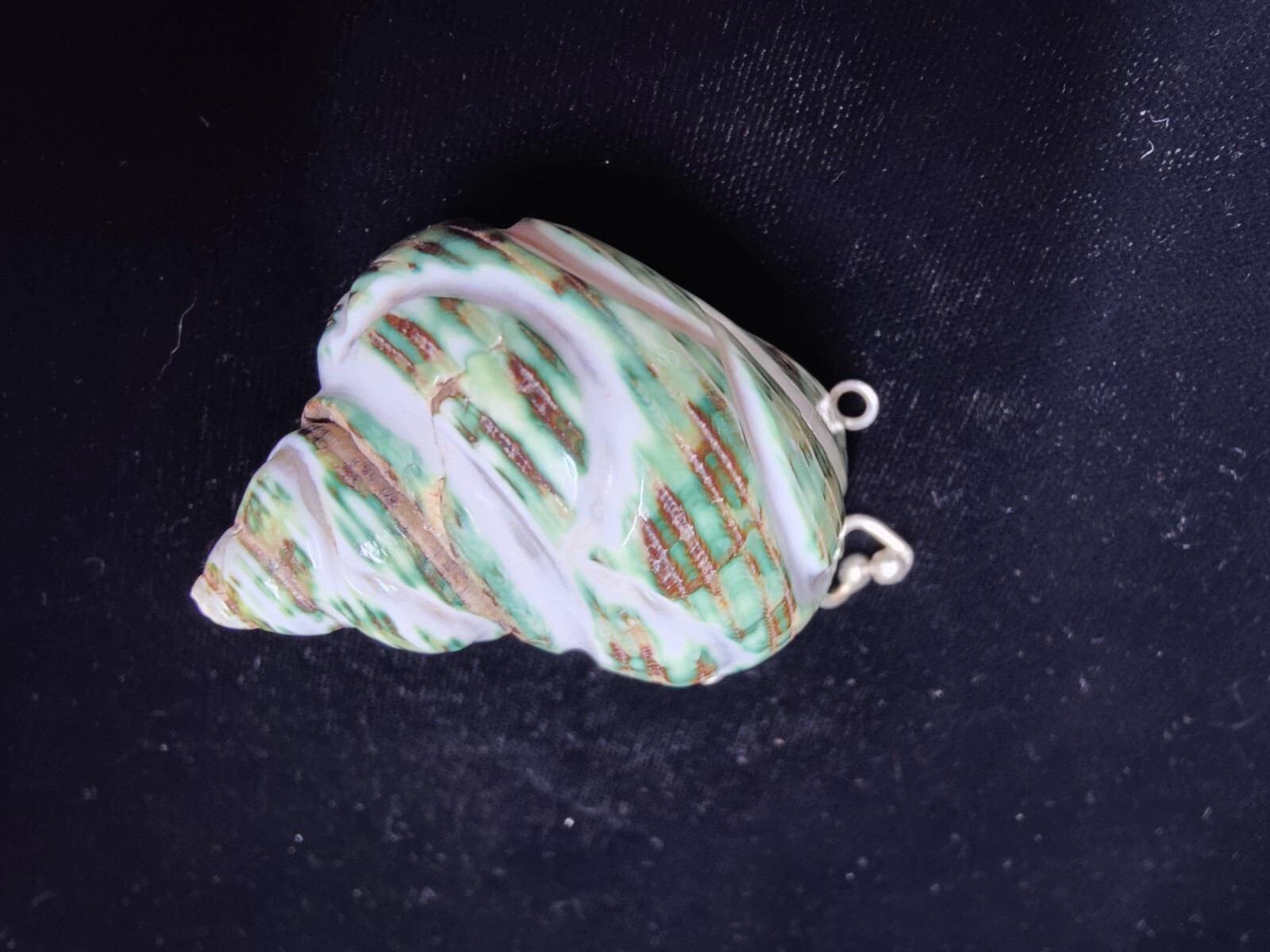 Natural Green Hand Carved 🐚 Sea Shell “Stash” Locket With Silver Free Shiping