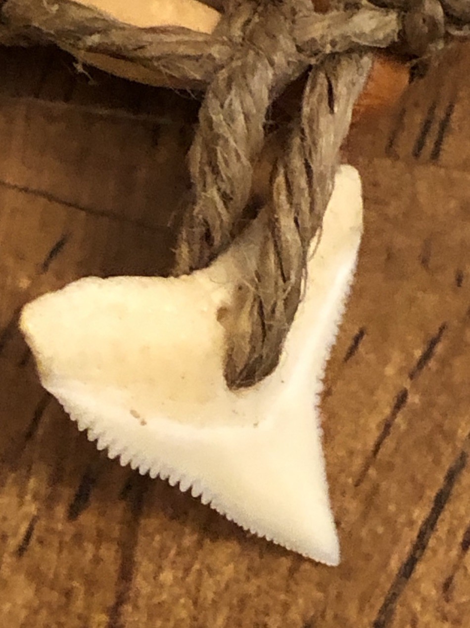 Vintage Shark Tooth Necklace Surfer Tribal Boho Wood Beads Hemp Cord Beachy (M1)