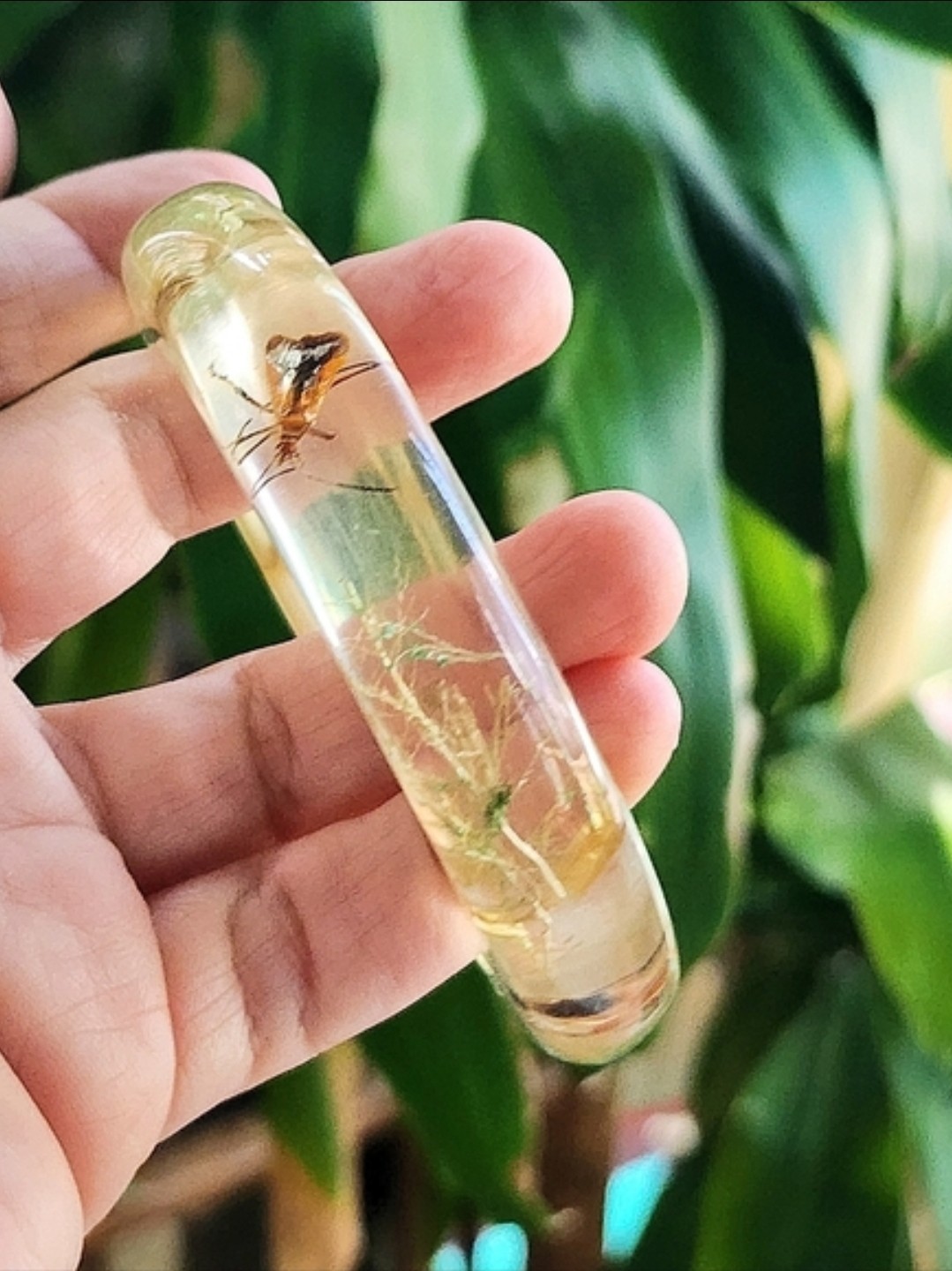 Vintage Bontanical Flora & Insect Lucite Bangle