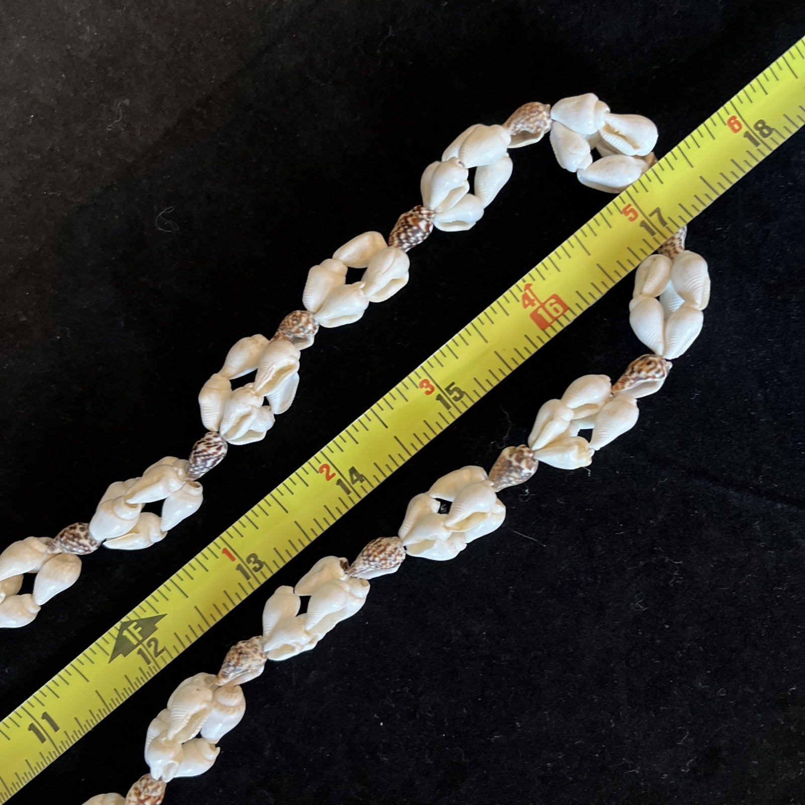 Long Sea Shell Necklace Tiny Whelks 35in Natural Real Seashells Handmade