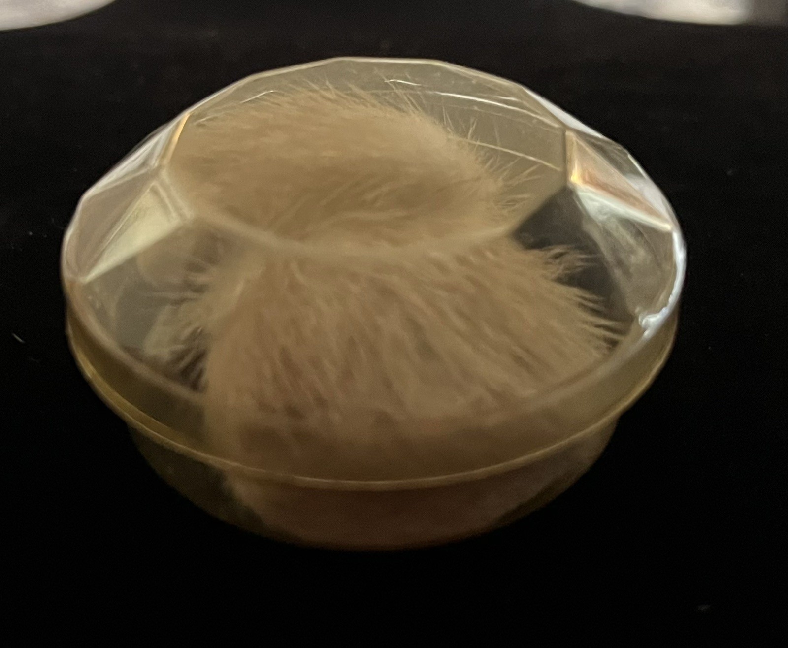Vintage Genuine Tan Brown Mink Fur Clip On Round Earrings 1950s Original Box