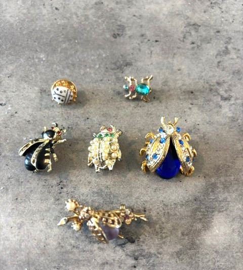 Lot Of 6 Vintage Lady Bug and other bug/insects Brooch Pin