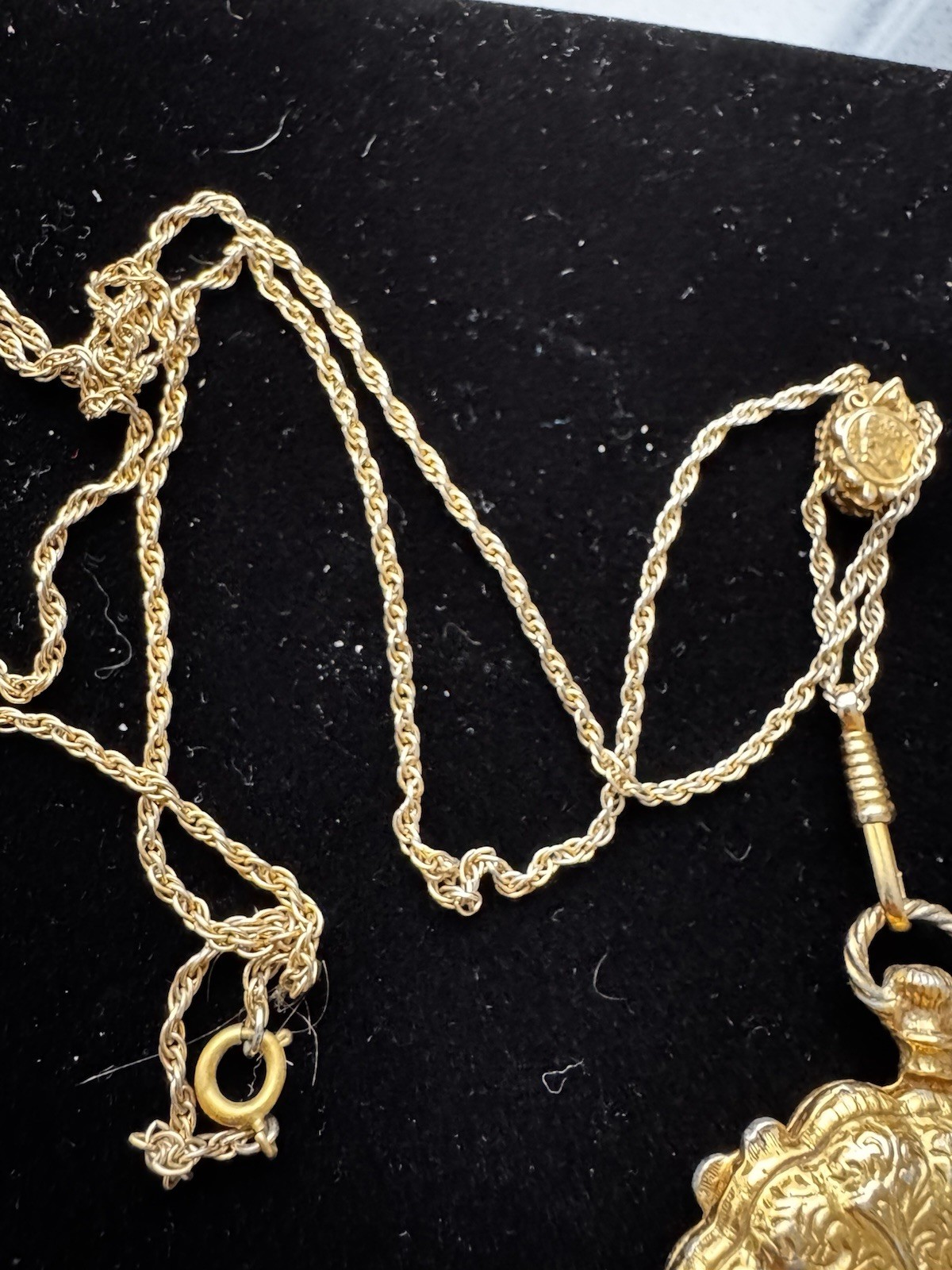 Borage Gold Tone Round Locket Pendant Necklace On Long Chain