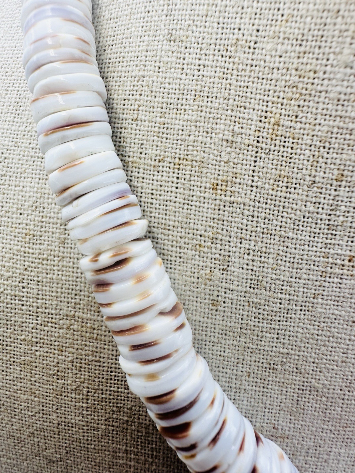 Vintage Shell Necklace 17.5” 10mm