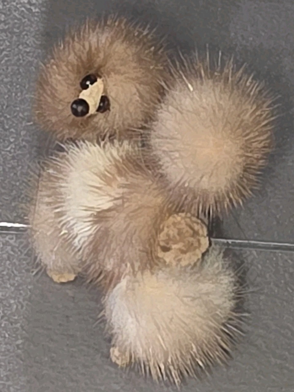 Vintage Mid-Century-Modern Mink? Brown Fur Poodle Brooch Approximately 2″x 2″