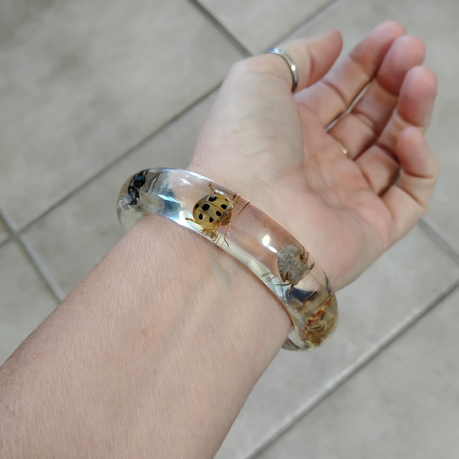 Vtg Clear Bug Bangle Encased Beetles, Scorpion, Insects Sz 7.75 Bracelet