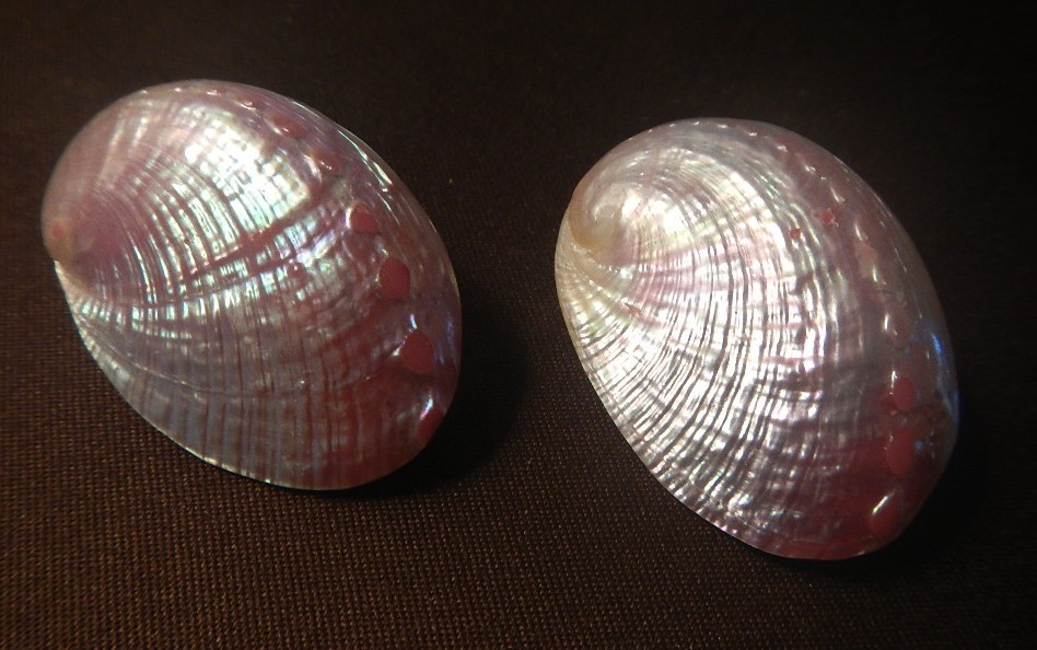 Vintage Iridescent Lucite Acrylic Abalone Sea Shell Clip On Earrings