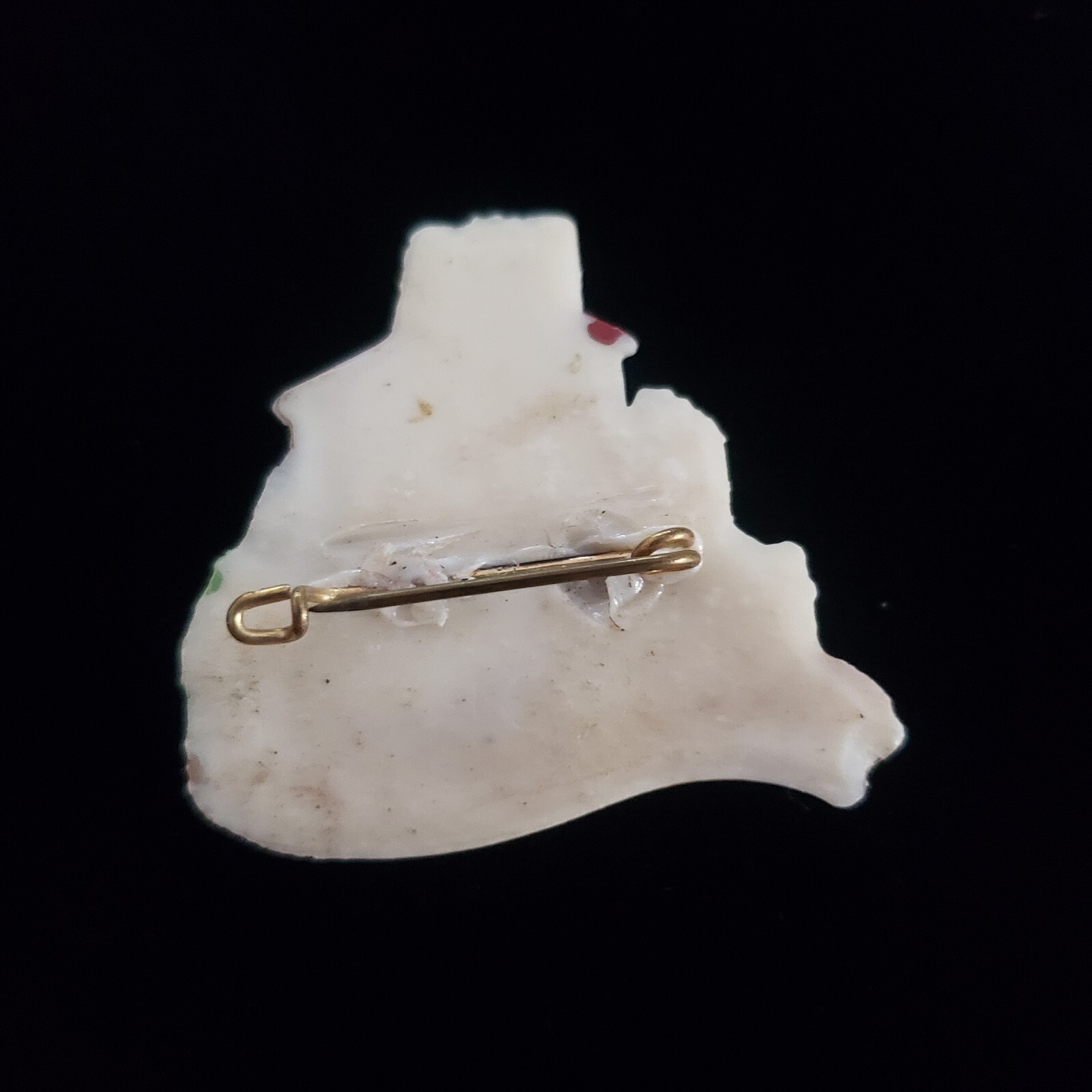 VINTAGE BROOCH SOUVENIR PLASTIC COLLECTIBLE COSTUME JEWELRY PIN