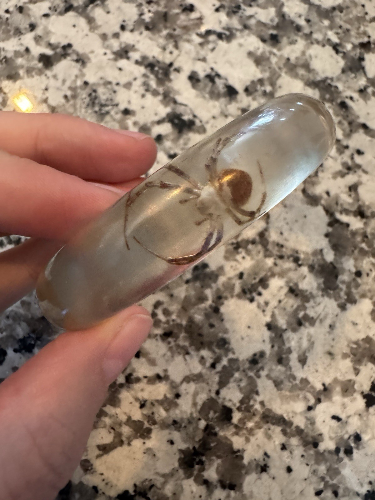 Vintage Lucite SPIDER Bangle Bracelet Real Bugs Embedded Resin Oddities Jewelry