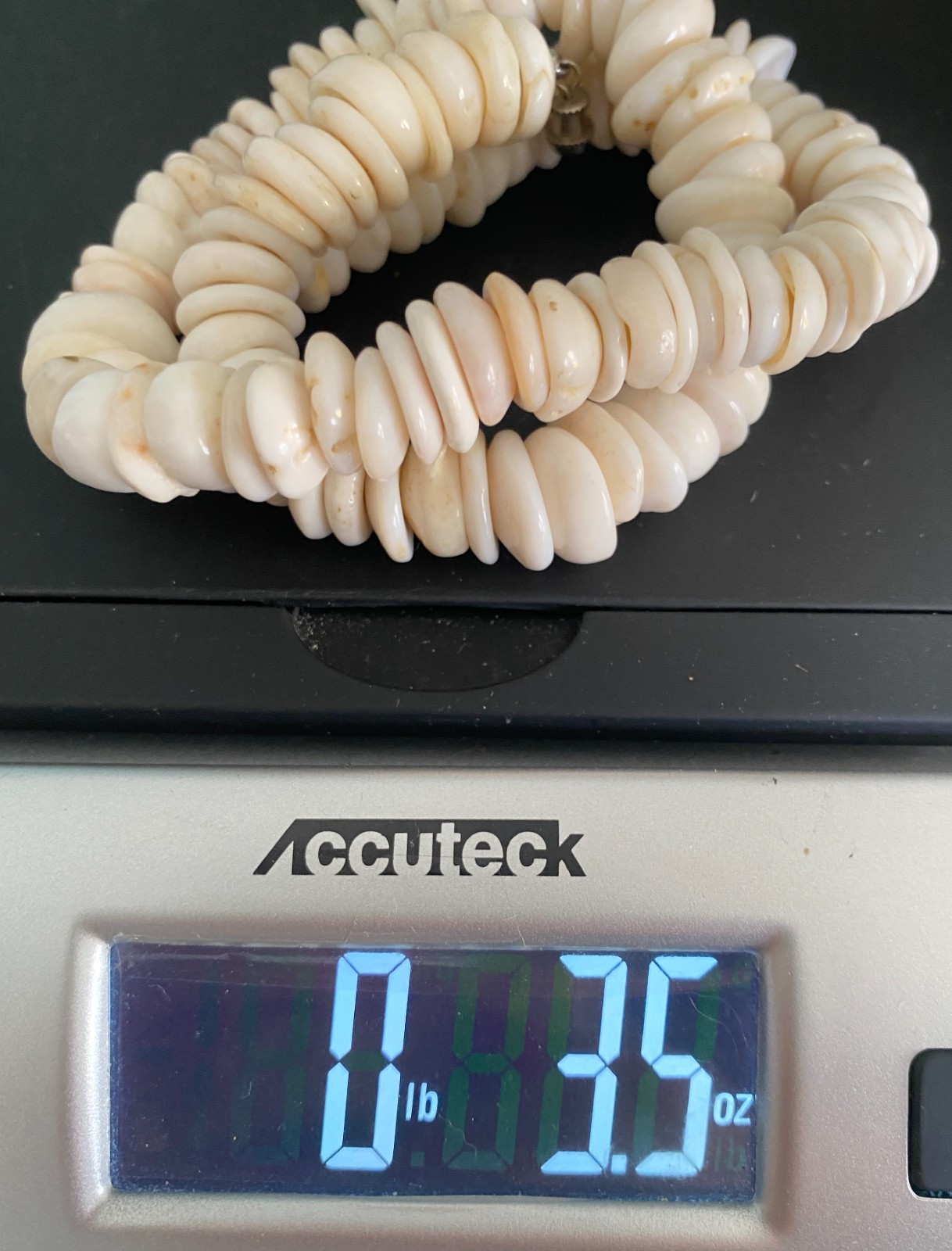 Vintage Large Hawaiian Puka Shell Choker Necklace Barrel Clasp 99 g 3.5oz 17″