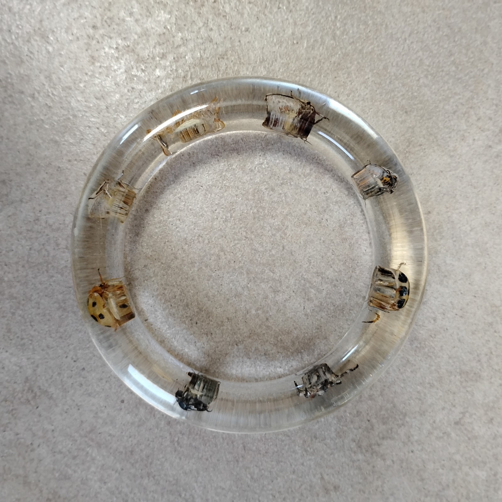 Vtg Clear Bug Bangle Encased Beetles, Scorpion, Insects Sz 7.75 Bracelet
