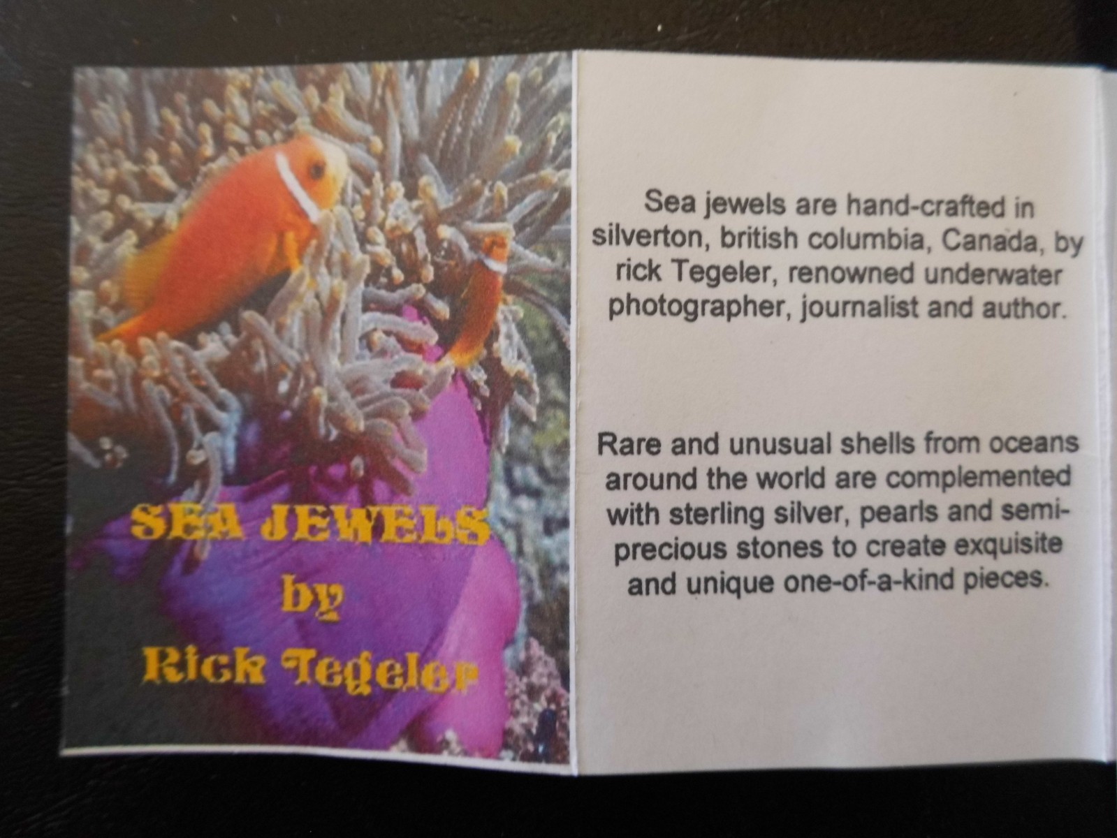 (M-1AC) Jewels From The Sea Jewelry Shell