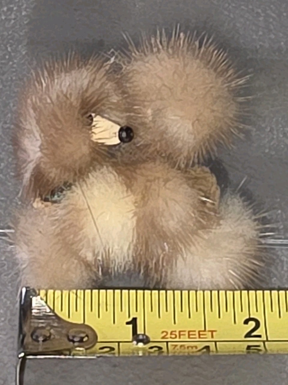 Vintage Mid-Century-Modern Mink? Brown Fur Poodle Brooch Approximately 2″x 2″