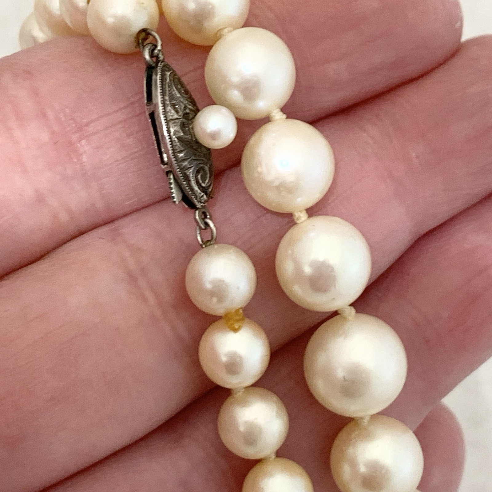 Hi Luster Fuji Akoya Pearl Necklace Strand Cream Graduated AAA+ 10mm VTG 19” WOW