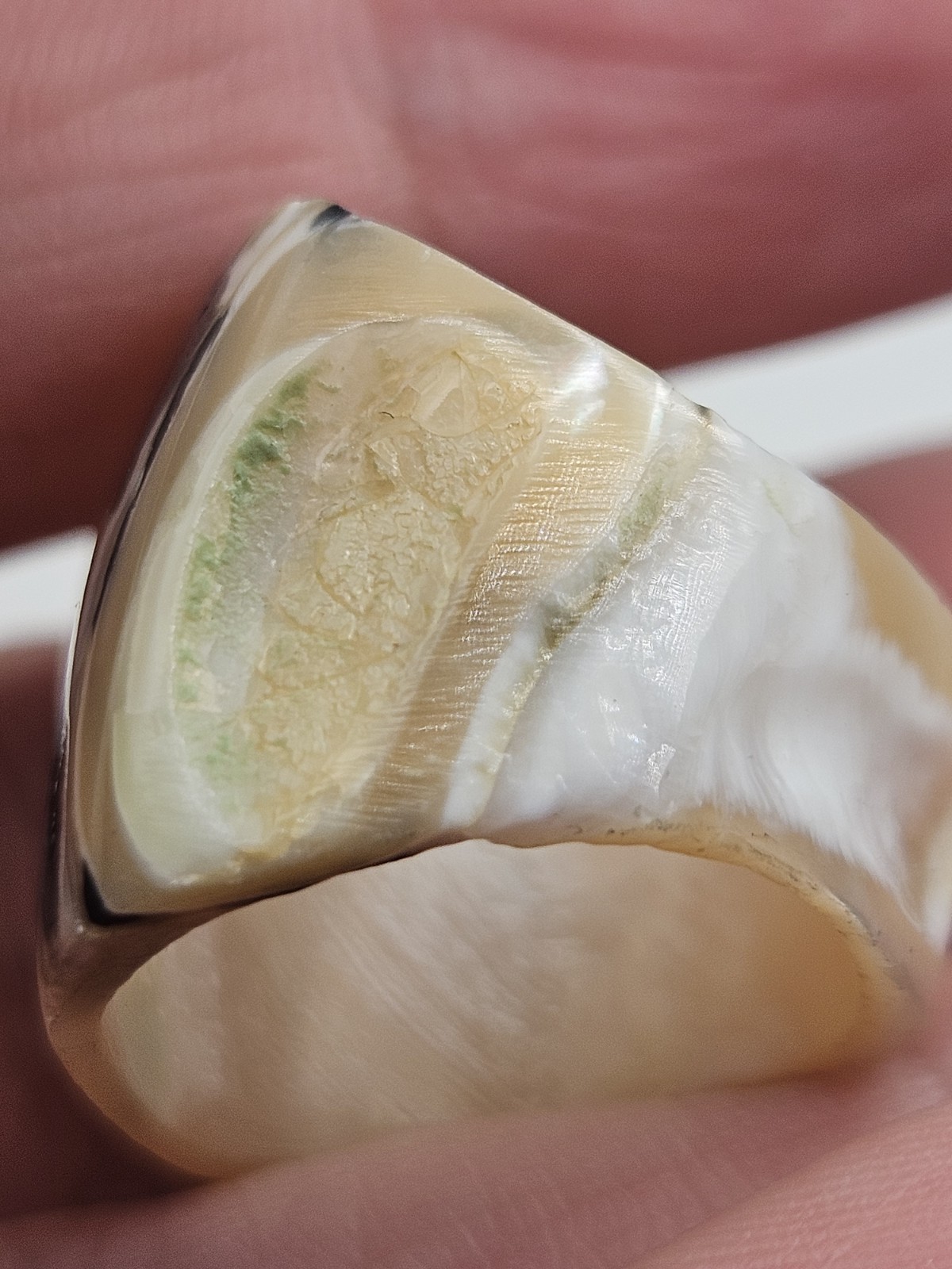 Vintage Natural Sea Shell Band Ring Size 5