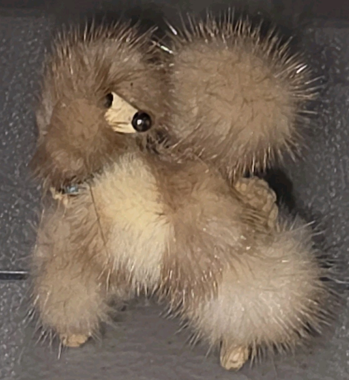 Vintage Mid-Century-Modern Mink? Brown Fur Poodle Brooch Approximately 2″x 2″