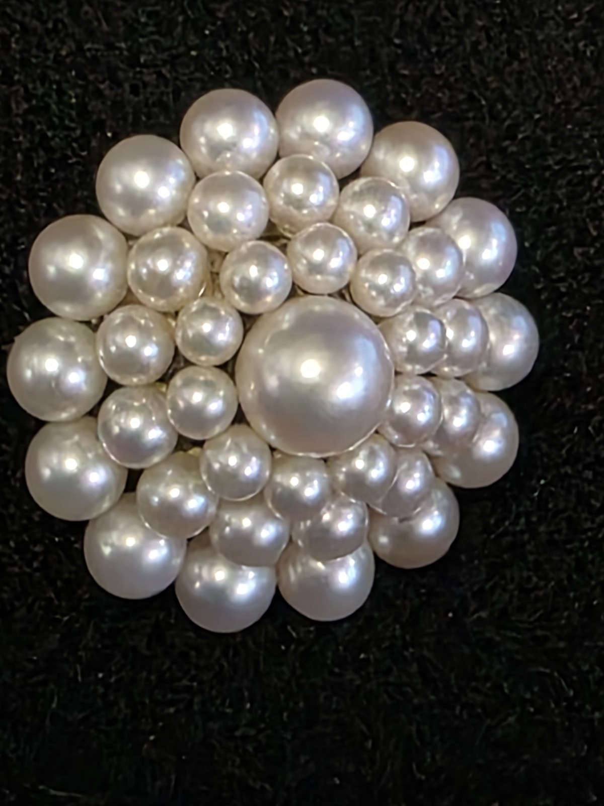 Vtg 1950s Mikimoto 38 Pearl W/ Silver Screw Back Earrings