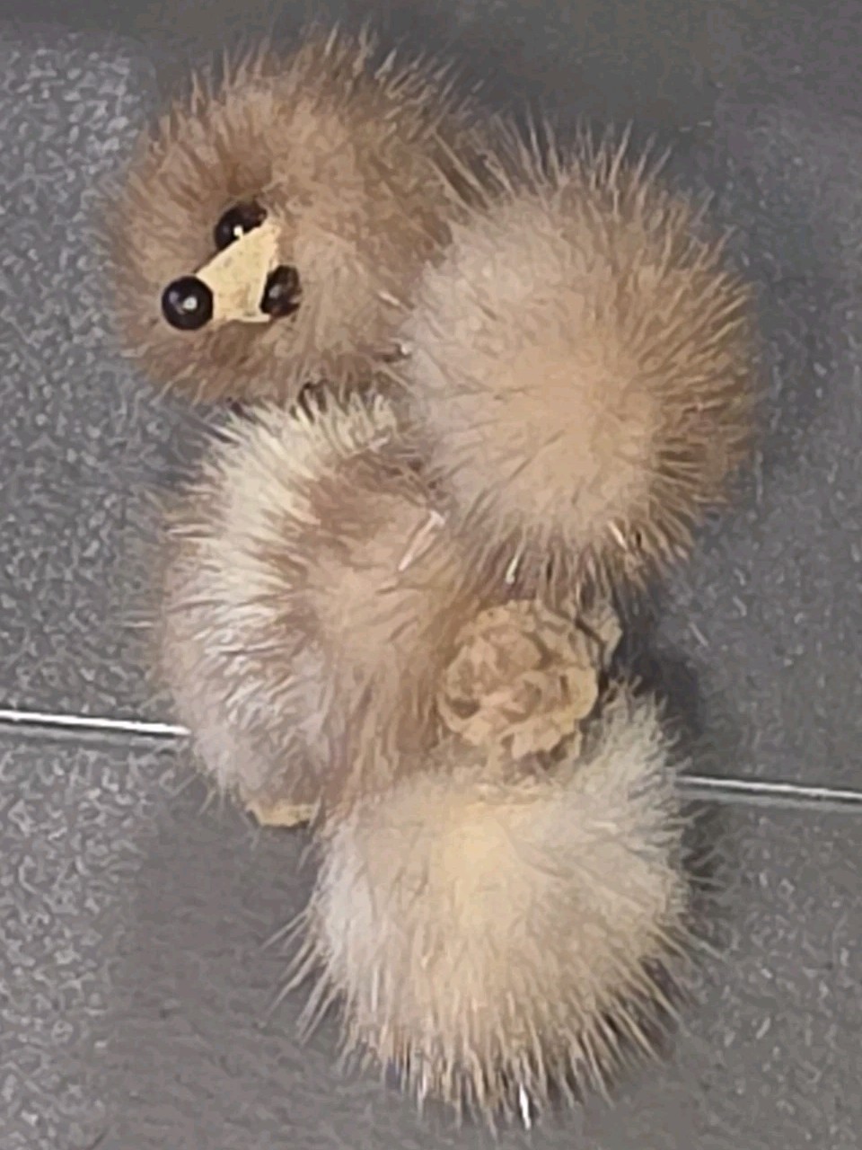 Vintage Mid-Century-Modern Mink? Brown Fur Poodle Brooch Approximately 2″x 2″