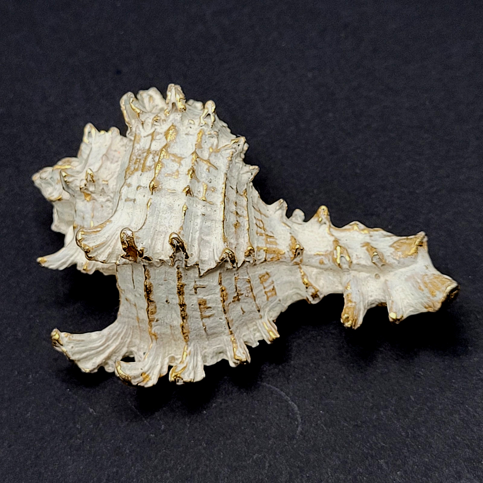 Zentall Gilded Branched Ramose Murex Spiked Conch Vintage Brooch Pin Rare