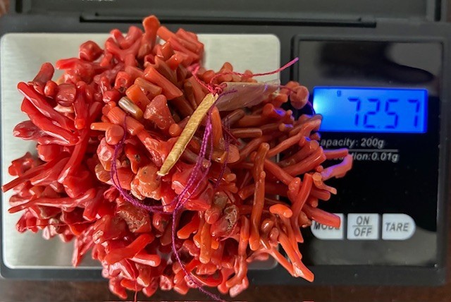 Salmon Color Graduated Branch Coral (2) Strands (no clasp) total weight 72gm