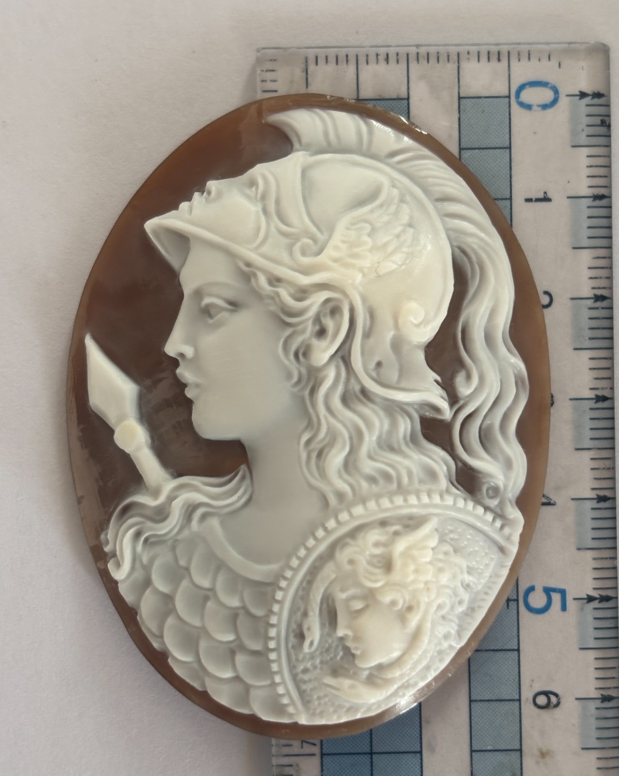 AMAZING SHELL CAMEO HANDMADE THE ATHENA