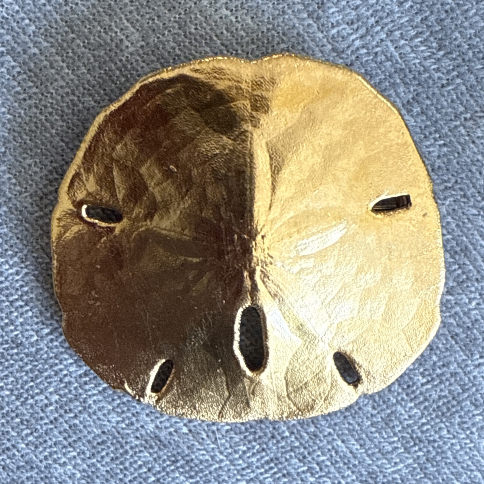 Vintage Large Brooch Pin Sand Dollar Gold Plated Estate Jewelry