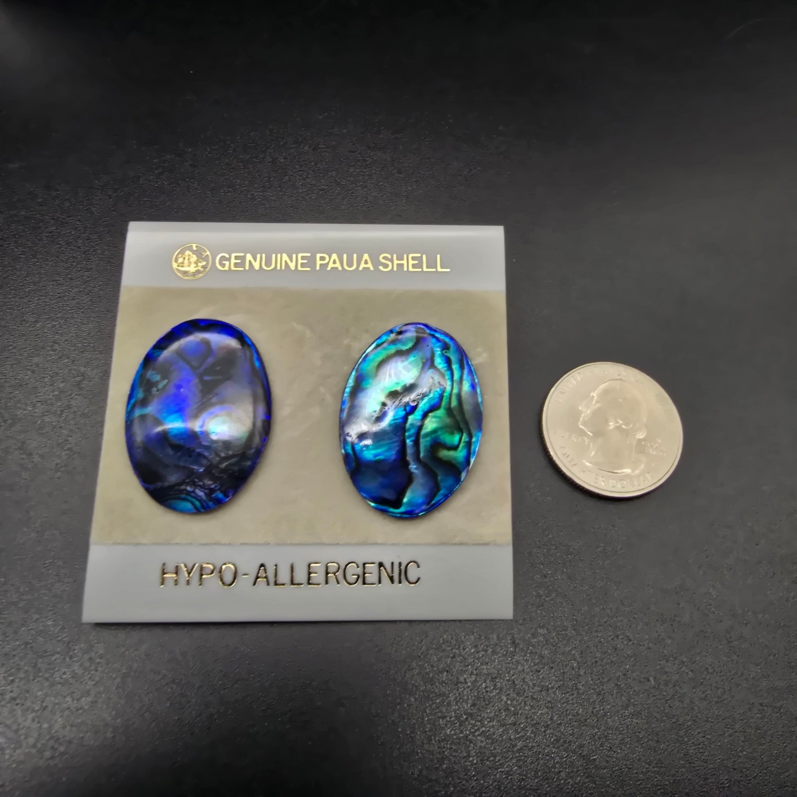 Blue Paua Shell Oval Earrings Pierced Post On Card